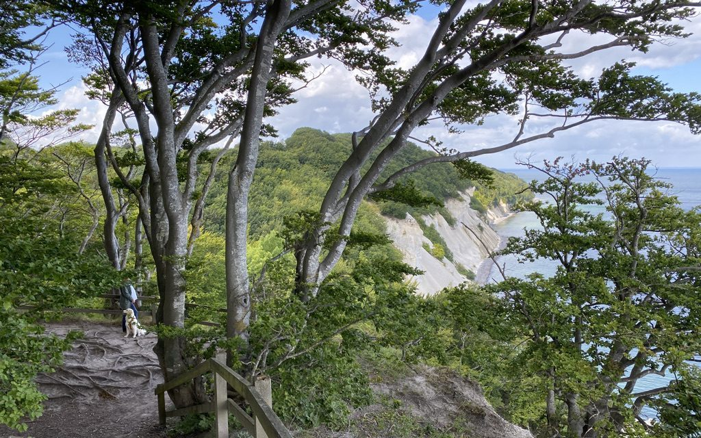 Møns natur