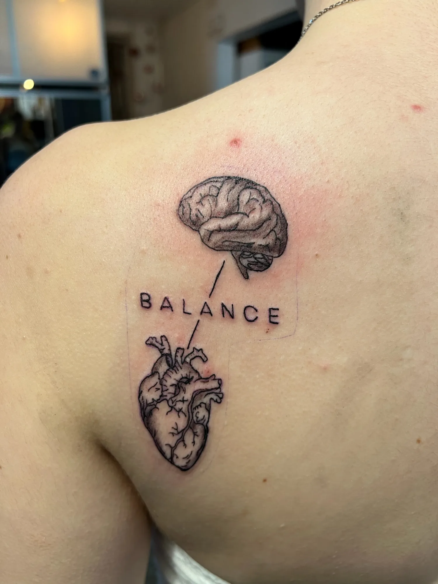Galleri billede 3
