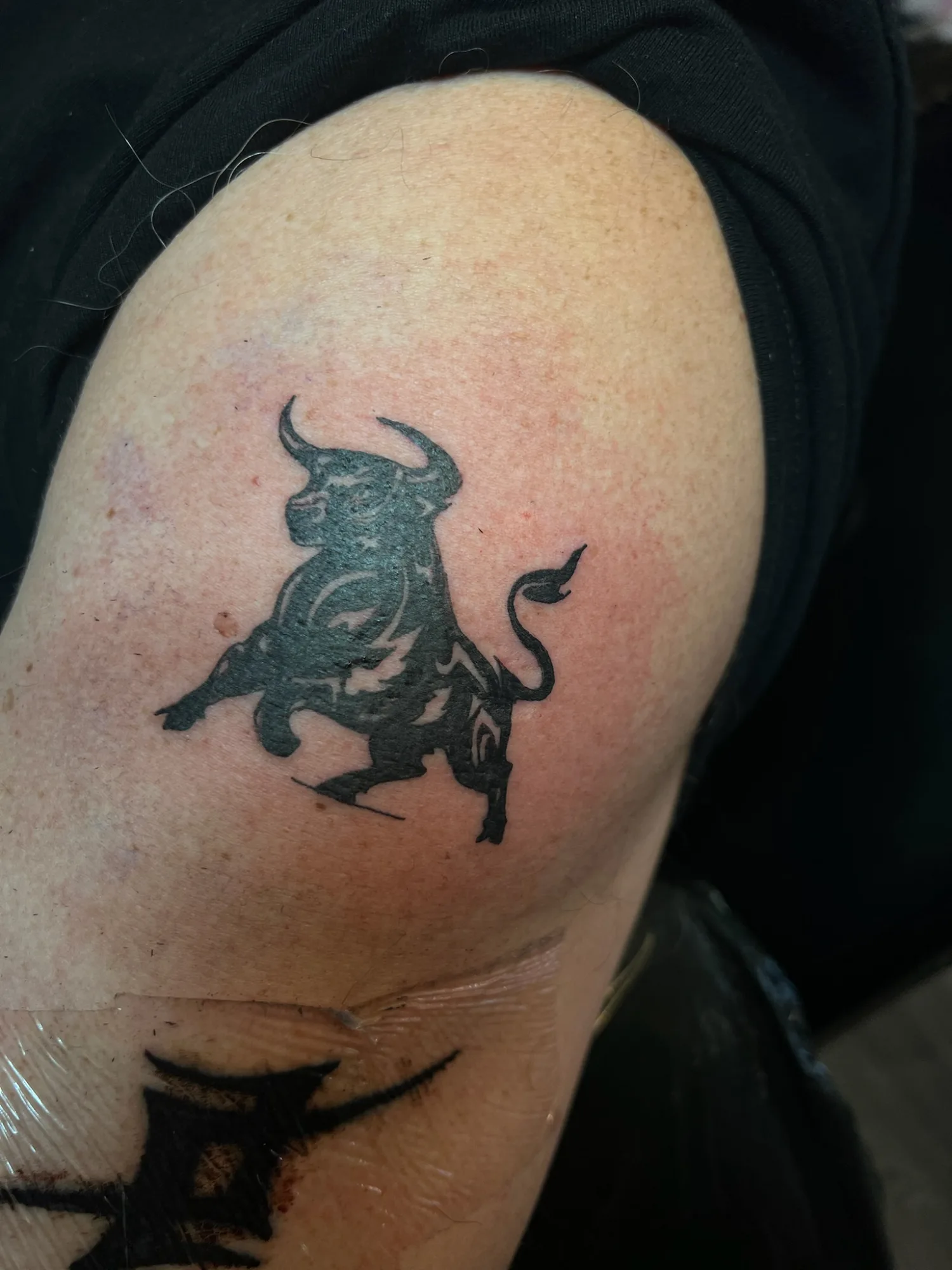Galleri billede 14